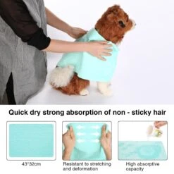 Ownpets 2-in-1 Grooming Cat & Dog Hair Dryer With Slicker Brush -Pet Wellness 760190 PT6. AC SS1800 V1674769349