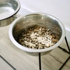 WINPRO Pet Pre+Probiotic Plasma Meal Topper Dog Supplement, 60 Scoops -Pet Wellness 761022 PT3. AC SS1800 V1677250003