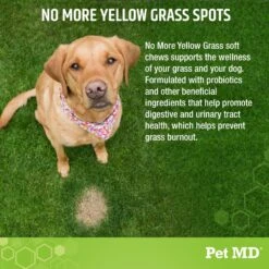 Pet MD Lawn Urine Neutralizer Chews Dog Supplement, 120 Count -Pet Wellness 761038 PT2. AC SS1800 V1683121550