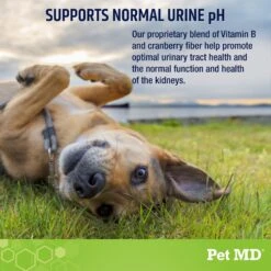 Pet MD Lawn Urine Neutralizer Chews Dog Supplement, 120 Count -Pet Wellness 761038 PT3. AC SS1800 V1683120746
