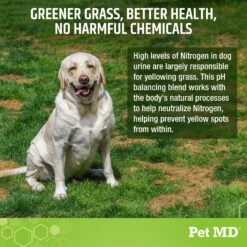 Pet MD Lawn Urine Neutralizer Chews Dog Supplement, 120 Count -Pet Wellness 761038 PT4. AC SS1800 V1683120779