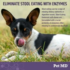Pet MD Stool Eating Deterrent Dog Supplement, 60 Count -Pet Wellness 761086 PT4. AC SS1800 V1683120778