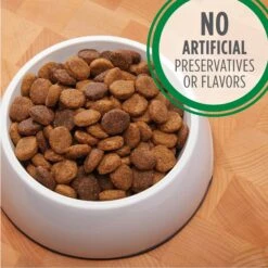 Iams ProActive Health Classic Ground With Chicken & Whole Grain Rice Adult Wet Dog Food & Iams Proactive Health Large Breed With Real Chicken Adult Dry Dog Food -Pet Wellness 761606 PT8. AC SS1800 V1674596916