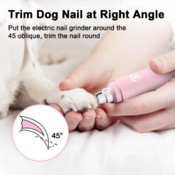 Casfuy Professional 2-Speed Quiet Dog Nail Grinder -Pet Wellness 762886 PT5. AC SS1800 V1676304836