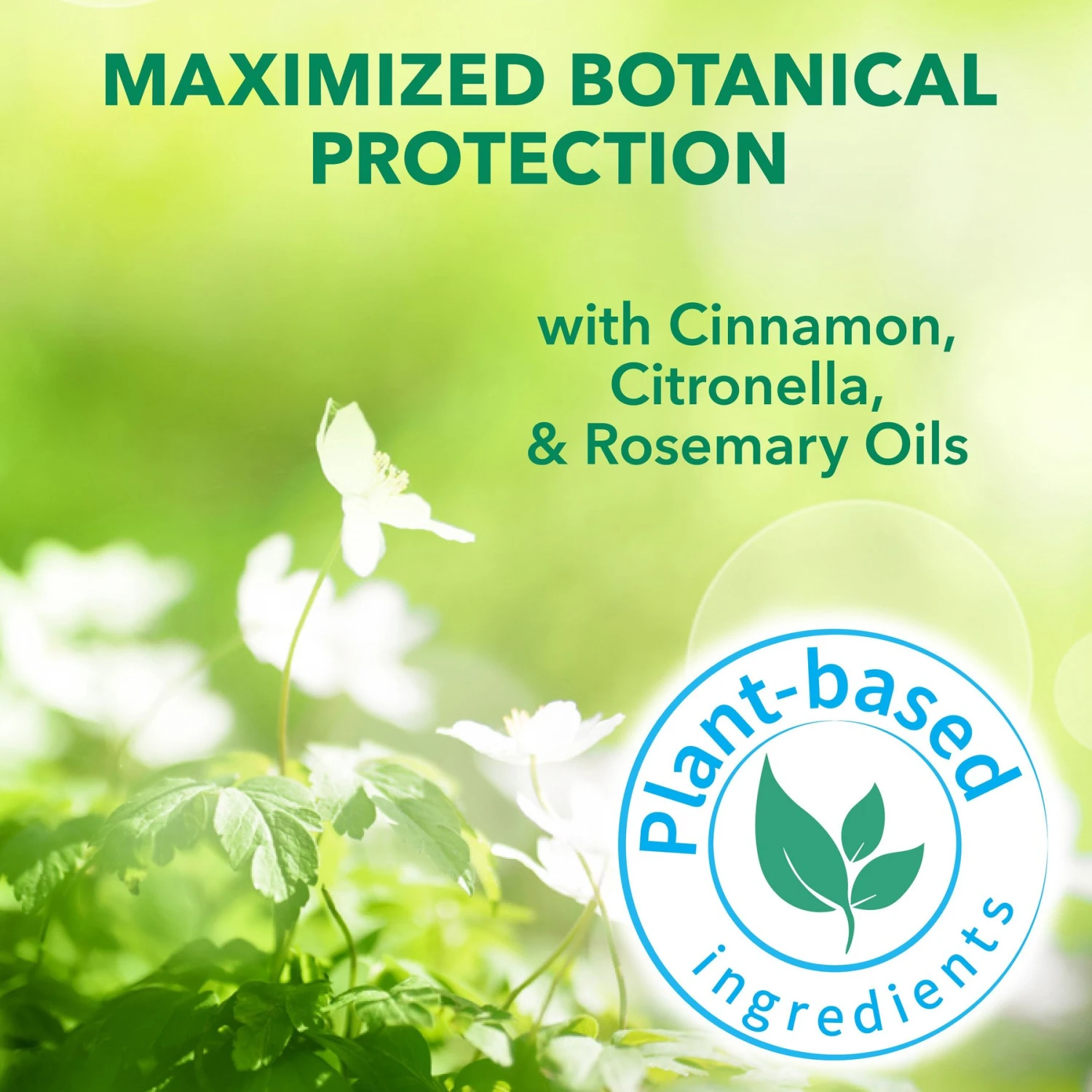 Hartz Nature's Shield Natural Flea & Tick Dog Shampoo, 14-oz Bottle 4 Hartz Nature's Shield Natural Flea & Tick Dog Shampoo, 14-oz Bottle - Image 4