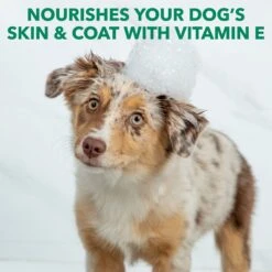 Hartz Nature's Shield Natural Flea & Tick Dog Shampoo, 14-oz Bottle 11 Hartz Nature's Shield Natural Flea & Tick Dog Shampoo, 14-oz Bottle -Pet Wellness 766534 PT5. AC SS1800 V1679411808