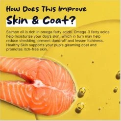 Healthy Pup Omega Soft Chews Skin & Coat Supplement For Dogs, 180 Count -Pet Wellness 767582 PT2. AC SS1800 V1675439863