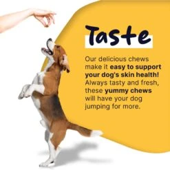 Healthy Pup Omega Soft Chews Skin & Coat Supplement For Dogs, 180 Count -Pet Wellness 767582 PT4. AC SS1800 V1675375897