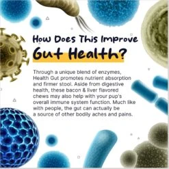 Healthy Pup Probiotic Soft Chews Digestive Aid For Dogs, 120 Count 10 Healthy Pup Probiotic Soft Chews Digestive Aid For Dogs, 120 Count -Pet Wellness 767598 PT2. AC SS1800 V1675439569