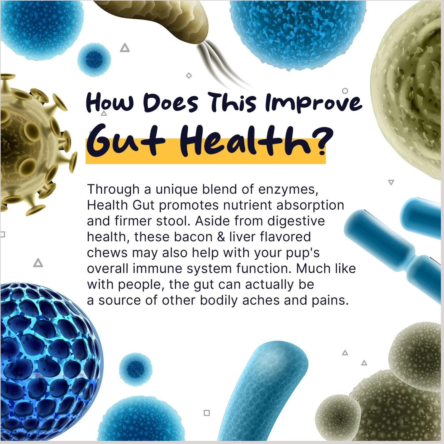 Healthy Pup Probiotic Soft Chews Digestive Aid For Dogs, 120 Count 3 Healthy Pup Probiotic Soft Chews Digestive Aid For Dogs, 120 Count - Image 3