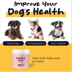 Healthy Pup Probiotic Soft Chews Digestive Aid For Dogs, 120 Count 11 Healthy Pup Probiotic Soft Chews Digestive Aid For Dogs, 120 Count -Pet Wellness 767598 PT3. AC SS1800 V1675440372