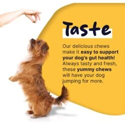 Healthy Pup Probiotic Soft Chews Digestive Aid For Dogs, 120 Count 12 Healthy Pup Probiotic Soft Chews Digestive Aid For Dogs, 120 Count -Pet Wellness 767598 PT4. AC SS1800 V1675366938