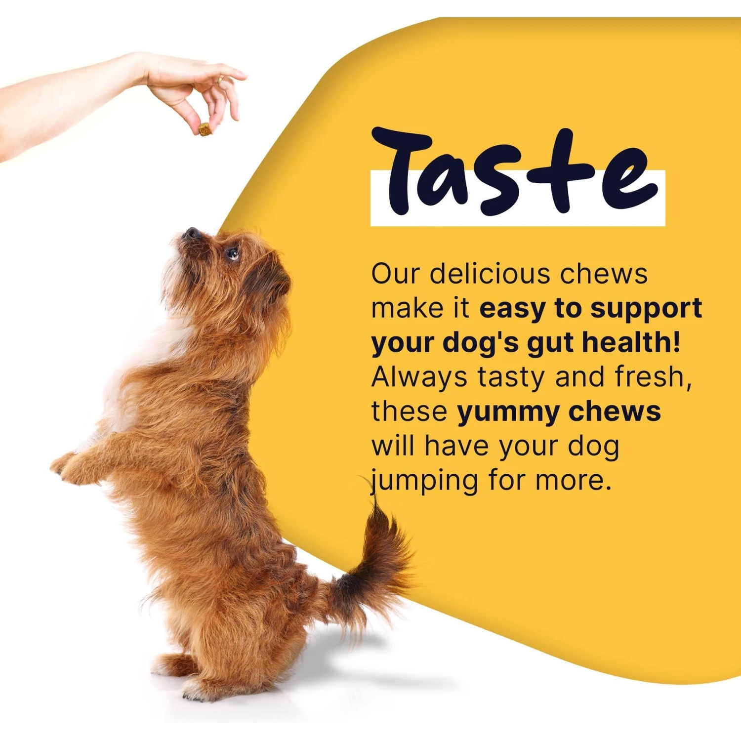 Healthy Pup Probiotic Soft Chews Digestive Aid For Dogs, 120 Count 5 Healthy Pup Probiotic Soft Chews Digestive Aid For Dogs, 120 Count - Image 5