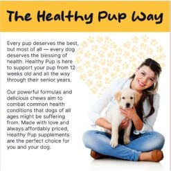 Healthy Pup Probiotic Soft Chews Digestive Aid For Dogs, 120 Count 15 Healthy Pup Probiotic Soft Chews Digestive Aid For Dogs, 120 Count -Pet Wellness 767598 PT7. AC SS1800 V1675439452