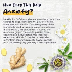 Healthy Pup Anxiety Soft Chews Calming Supplement For Dogs, 60 Count -Pet Wellness 767630 PT3. AC SS1800 V1675439111