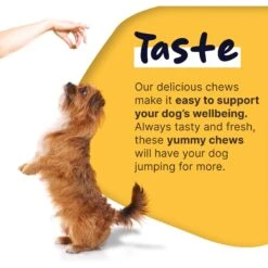 Healthy Pup Anxiety Soft Chews Calming Supplement For Dogs, 60 Count -Pet Wellness 767630 PT4. AC SS1800 V1675439115