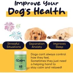 Healthy Pup Anxiety Soft Chews Calming Supplement For Dogs, 60 Count -Pet Wellness 767630 PT5. AC SS1800 V1675439115