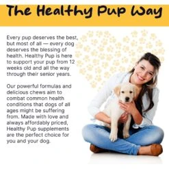 Healthy Pup Anxiety Soft Chews Calming Supplement For Dogs, 60 Count -Pet Wellness 767630 PT7. AC SS1800 V1675366884