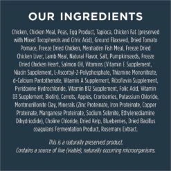 Instinct Raw Boost Large Breed Puppy Grain-Free Recipe With Real Chicken & Freeze-Dried Raw Pieces Dry Dog Food 12 Instinct Raw Boost Large Breed Puppy Grain-Free Recipe With Real Chicken & Freeze-Dried Raw Pieces Dry Dog Food -Pet Wellness 76866 PT5. AC SS1800 V1564521457