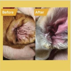 Silver Honey Rapid Ear Care Vet Strength Dog & Cat Wipes, 50 Count -Pet Wellness 769222 PT2. AC SS1800 V1675807215