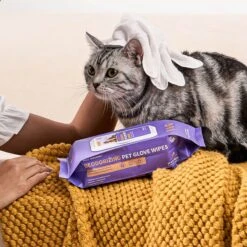 HICC PET Deodorizing Cat & Dog Glove Wipes, 20 Count -Pet Wellness 769918 PT4. AC SS1800 V1688650939