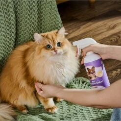 HICC PET Skin Care Relief Cat & Dog Spray, 16-oz Bottle 10 HICC PET Skin Care Relief Cat & Dog Spray, 16-oz Bottle -Pet Wellness 770046 PT3. AC SS1800 V1688652486