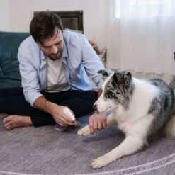 HICC PET Skin Care Relief Cat & Dog Spray, 16-oz Bottle 11 HICC PET Skin Care Relief Cat & Dog Spray, 16-oz Bottle -Pet Wellness 770046 PT4. AC SS1800 V1688652413