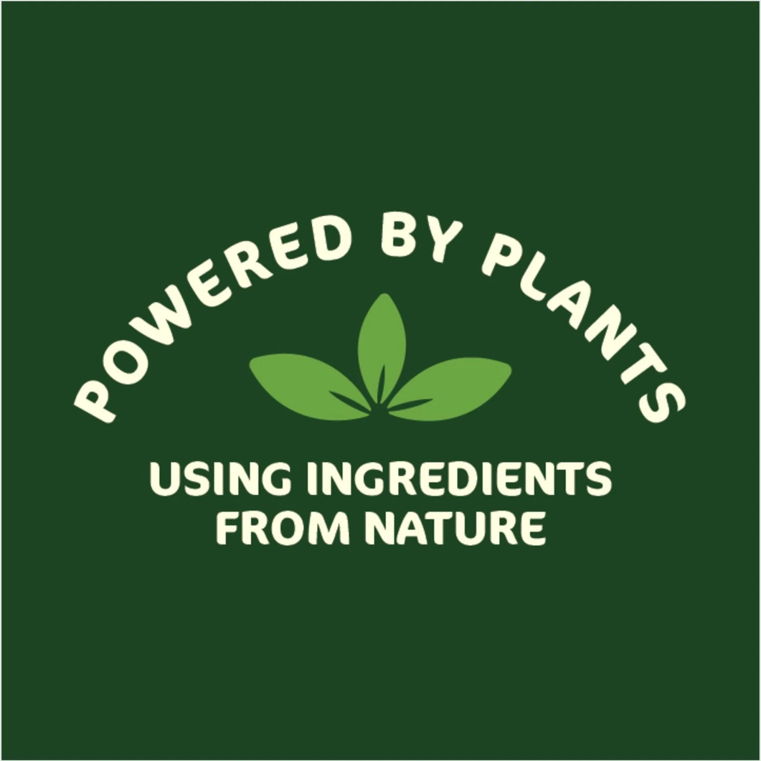 SimpleSource Flea & Tick Dog Shampoo 4 SimpleSource Flea & Tick Dog Shampoo - Image 4