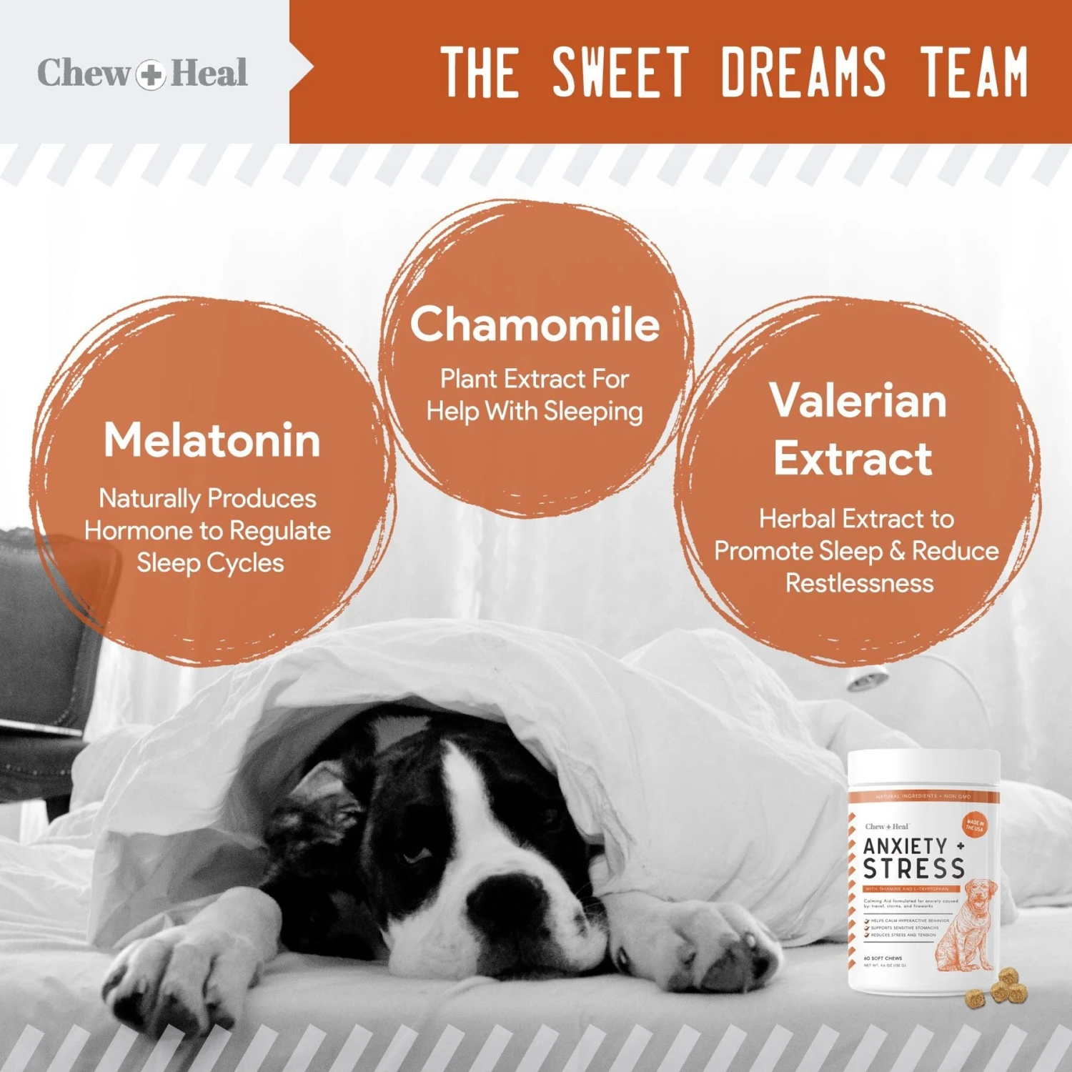 Chew + Heal Anxiety & Stress Dog Supplement & Chew + Heal Omega Skin + Coat Dog Supplement 4 Chew + Heal Anxiety & Stress Dog Supplement & Chew + Heal Omega Skin + Coat Dog Supplement - Image 4