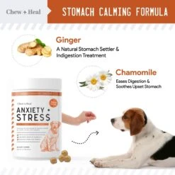 Chew + Heal Anxiety & Stress Dog Supplement & Chew + Heal Omega Skin + Coat Dog Supplement 13 Chew + Heal Anxiety & Stress Dog Supplement & Chew + Heal Omega Skin + Coat Dog Supplement -Pet Wellness 770742 PT4. AC SS1800 V1676041188