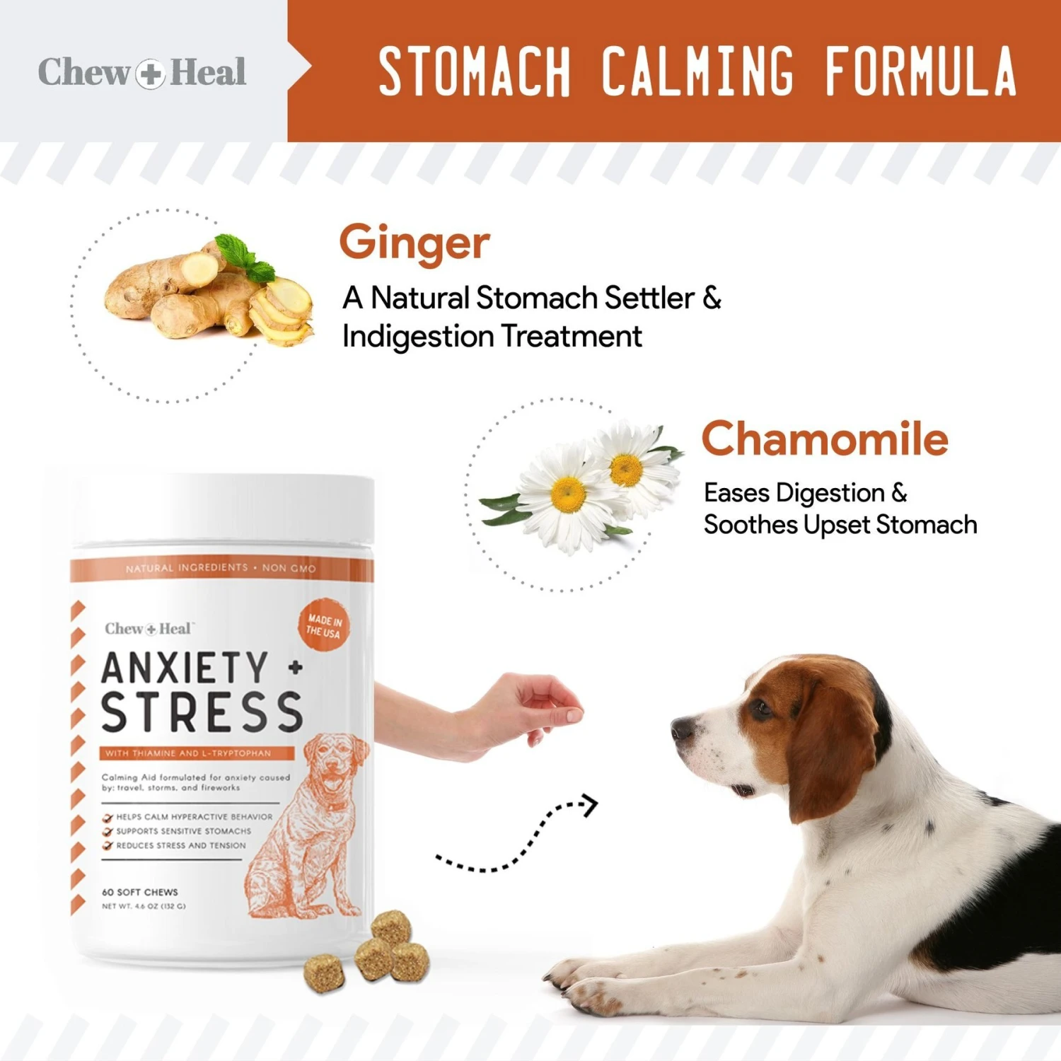 Chew + Heal Anxiety & Stress Dog Supplement & Chew + Heal Omega Skin + Coat Dog Supplement 5 Chew + Heal Anxiety & Stress Dog Supplement & Chew + Heal Omega Skin + Coat Dog Supplement - Image 5