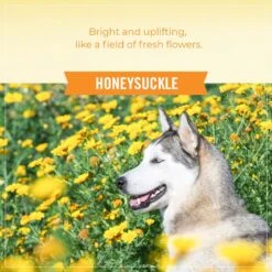 Skout's Honor Probiotic Honeysuckle Daily Use Pet Detangler, 8-oz Bottle & Hartz Groomer's Best Combo Brush For Dogs & Cats 13 Skout's Honor Probiotic Honeysuckle Daily Use Pet Detangler, 8-oz Bottle & Hartz Groomer's Best Combo Brush For Dogs & Cats -Pet Wellness 772982 PT4. AC SS1800 V1676749471