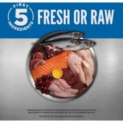 ORIJEN Real Meat Shreds Original Stew Grain-Free Wet Dog Food, 12.8-oz Can, Case Of 12 & ORIJEN Original Grain-Free Dry Dog Food -Pet Wellness 774438 PT4. AC SS1800 V1684492584