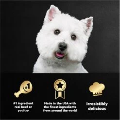 Cesar Home Delights Variety Pack Small Breed Adult Wet Dog Food 17 Cesar Home Delights Variety Pack Small Breed Adult Wet Dog Food -Pet Wellness 774854 PT8. AC SS1800 V1695676431