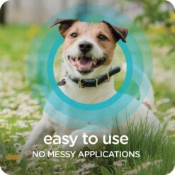 Sergeant's Guardian Pro Flea & Tick Dog Collar -Pet Wellness 775134 PT6. AC SS1800 V1678905712