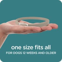 Sergeant's Guardian Pro Flea & Tick Dog Collar -Pet Wellness 775134 PT7. AC SS1800 V1678905705