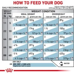 Royal Canin Veterinary Diet Adult Vegetarian Dry Dog Food -Pet Wellness 77540 PT8. AC SS1800 V1684413083