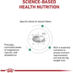 Royal Canin Veterinary Diet Adult Satiety Support Weight Management Small Breed Dry Dog Food 13 Royal Canin Veterinary Diet Adult Satiety Support Weight Management Small Breed Dry Dog Food -Pet Wellness 77543 PT4. AC SS1800 V1661831906