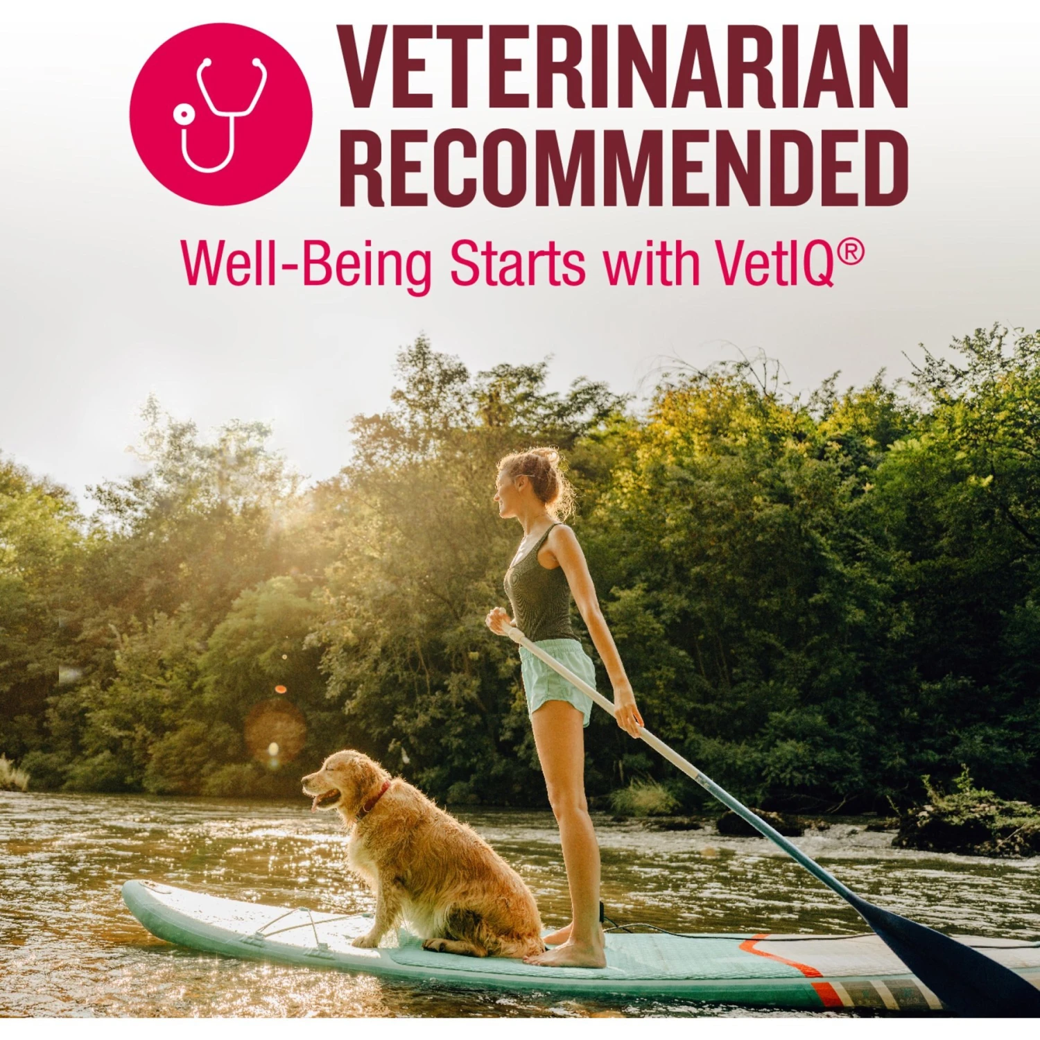 VetIQ Hickory Smoke Flavor Soft Chew Multivitamin For Dogs 3 VetIQ Hickory Smoke Flavor Soft Chew Multivitamin For Dogs - Image 3