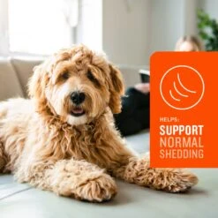 VetIQ Skin & Coat Soft Chew Supplement For Dogs 10 VetIQ Skin & Coat Soft Chew Supplement For Dogs -Pet Wellness 777878 PT3. AC SS1800 V1696598767