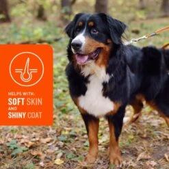 VetIQ Skin & Coat Soft Chew Supplement For Dogs 11 VetIQ Skin & Coat Soft Chew Supplement For Dogs -Pet Wellness 777878 PT4. AC SS1800 V1696540851