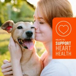 VetIQ Skin & Coat Soft Chew Supplement For Dogs 12 VetIQ Skin & Coat Soft Chew Supplement For Dogs -Pet Wellness 777878 PT5. AC SS1800 V1696540904