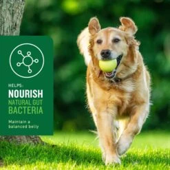 VetIQ Probiotic Soft Chew Supplement For Dogs -Pet Wellness 777894 PT4. AC SS1800 V1696598768