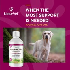 NaturVet Moderate Care Glucosamine DS Plus Liquid Joint Supplement For Cats & Dogs -Pet Wellness 77870 PT3. AC SS1800 V1698697412