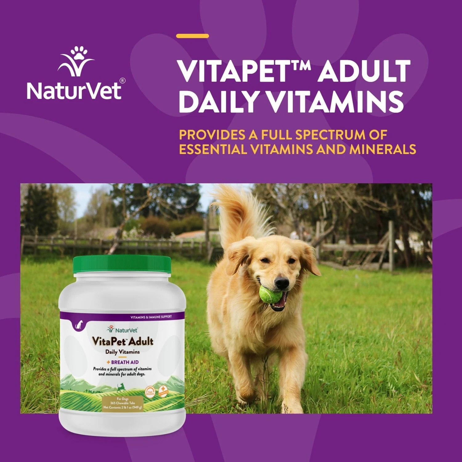 NaturVet VitaPet Adult Plus Breath Aid Chewable Tablets Multivitamin For Dogs 4 NaturVet VitaPet Adult Plus Breath Aid Chewable Tablets Multivitamin For Dogs - Image 4
