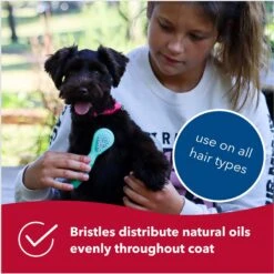 Li'l Pals Dog Combo Brush -Pet Wellness 782702 PT4. AC SS1800 V1680705768