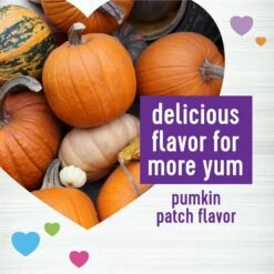 Wellness CORE Digestive Health Wholesome Grains Chicken & Brown Rice Recipe Dry Dog Food + 2 Items -Pet Wellness 783510 PT6. AC SS1800 V1677255266