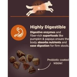 Wellness Belly Digestive Health Support Pumpkin Flavor Chew Supplements For Dogs & Wellness CORE Digestive Health Wholesome Grains Chicken & Brown Rice Recipe Dry Dog Food 17 Wellness Belly Digestive Health Support Pumpkin Flavor Chew Supplements For Dogs & Wellness CORE Digestive Health Wholesome Grains Chicken & Brown Rice Recipe Dry Dog Food -Pet Wellness 783670 PT8. AC SS1800 V1677518568