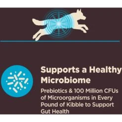 Wellness Belly Digestive Health Support Pumpkin Flavor Chew Supplements For Dogs & Wellness CORE Digestive Health Wholesome Grains Whitefish & Brown Rice Recipe Dry Dog Food 13 Wellness Belly Digestive Health Support Pumpkin Flavor Chew Supplements For Dogs & Wellness CORE Digestive Health Wholesome Grains Whitefish & Brown Rice Recipe Dry Dog Food -Pet Wellness 783678 PT4. AC SS1800 V1677518569