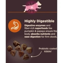Wellness Belly Digestive Health Support Pumpkin Flavor Chew Supplements For Dogs & Wellness CORE Digestive Health Wholesome Grains Chicken & Brown Rice Recipe Small Breed Dry Dog Food -Pet Wellness 783686 PT8. AC SS1800 V1677515964